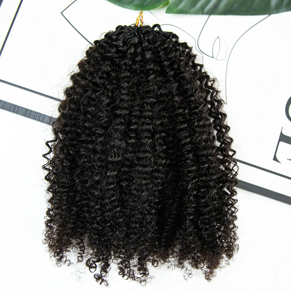 Afro Kinky Curly Human Crochet Hair