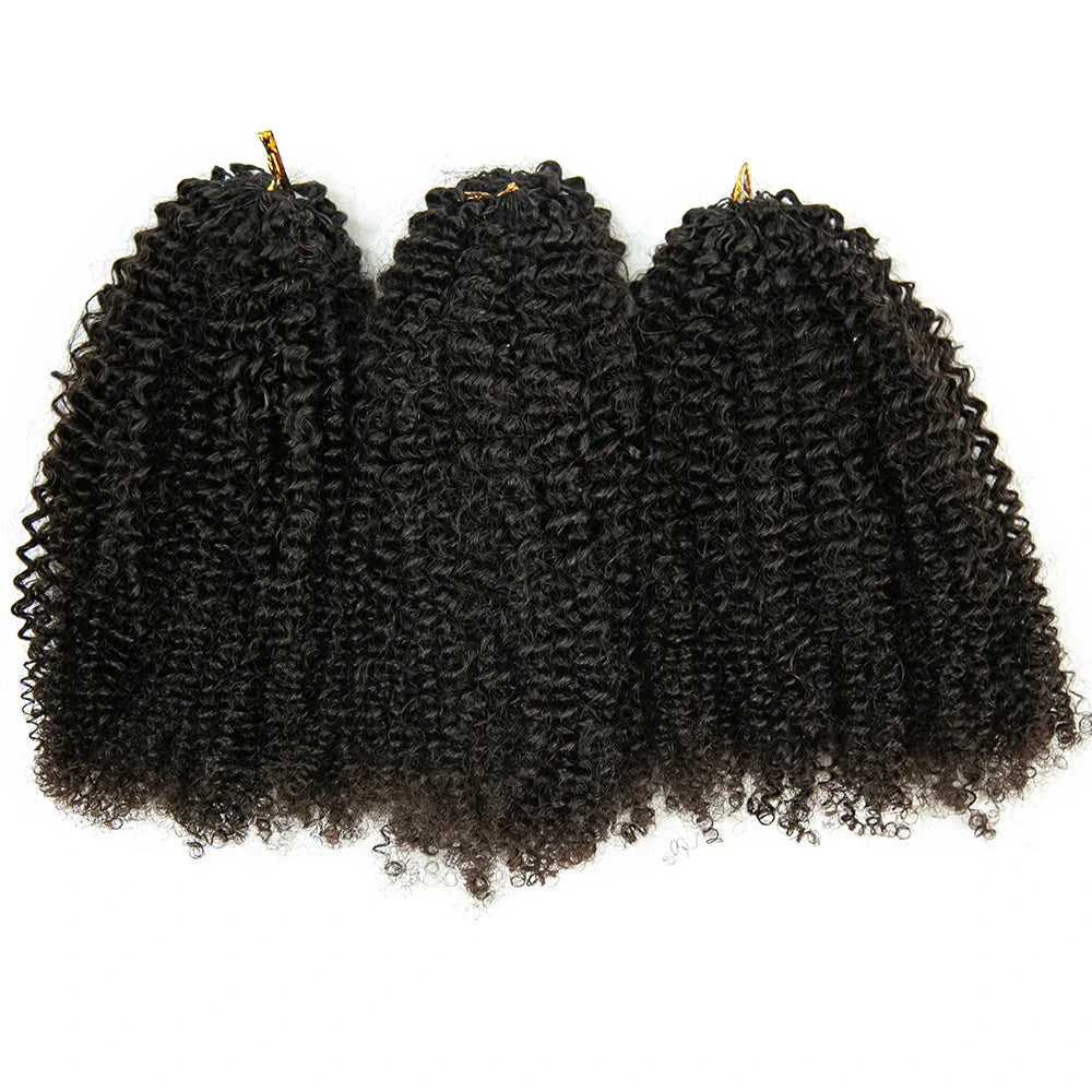 Afro Kinky Curly Human Crochet Hair