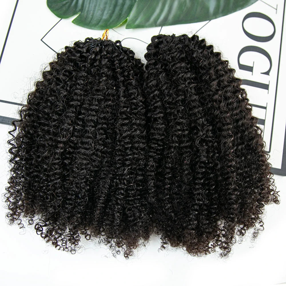 Afro Kinky Curly Human Crochet Hair