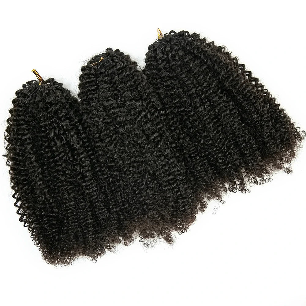 Afro Kinky Curly Human Crochet Hair