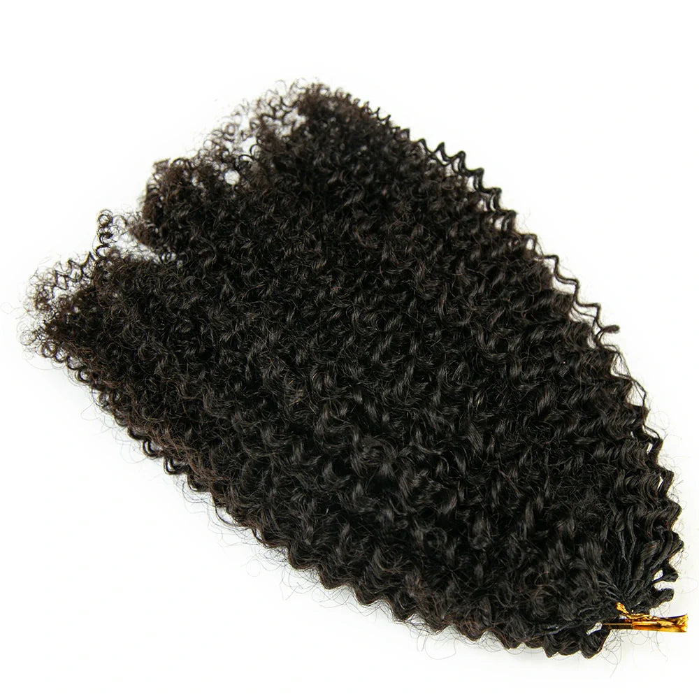 Afro Kinky Curly Human Crochet Hair