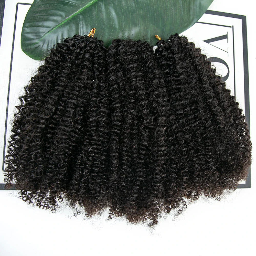 Afro Kinky Curly Human Crochet Hair