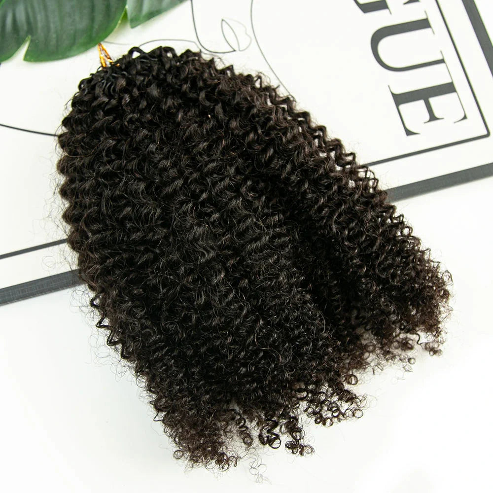 Afro Kinky Curly Human Crochet Hair