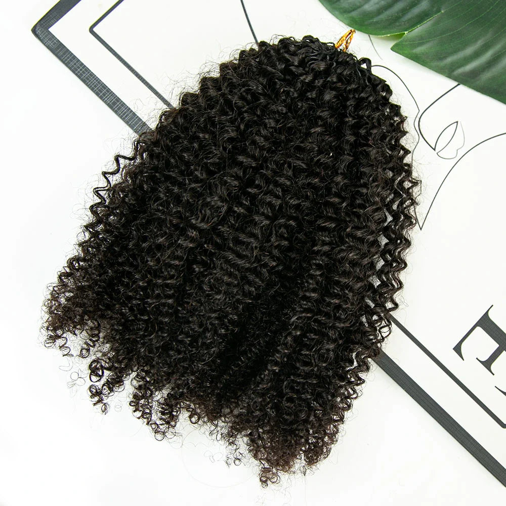 Afro Kinky Curly Human Crochet Hair